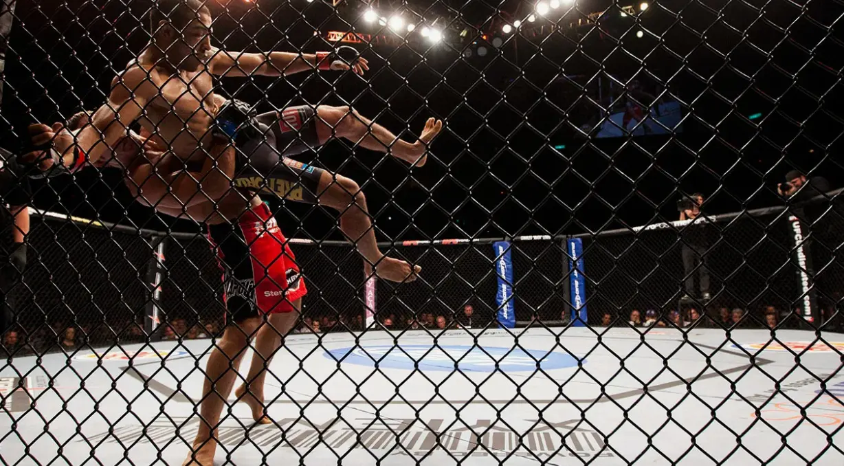 Стратегии ставок на единоборства Стратегии ставок на единоборства